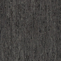 Линолеум Tarkett iq Optima NEUTRAL BLACK 0244 фото 1 | FLOORDEALER